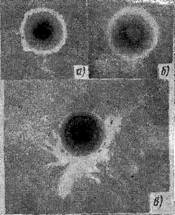 g0227.jpg