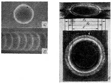 g0238.jpg