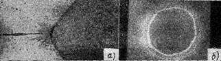 g0240.jpg