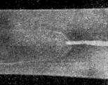 g0258.jpg