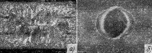 g0260.jpg