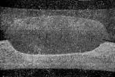 g02431.jpg