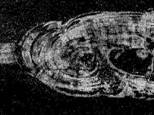 g02432.jpg