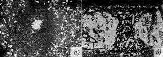 g02521.jpg