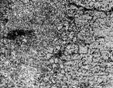 g02522.jpg