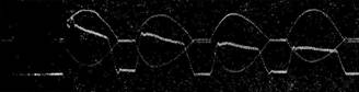 g0113.jpg
