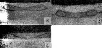 g00831.jpg