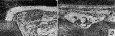g0084.jpg
