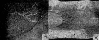 g0087.jpg